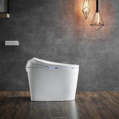 Eenpersoons toilet met automatisch spoelen Warm water en droog achterstand Eco Smart Automatisch Intelligent toilet All-in-One toilet OEM