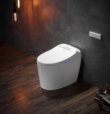 Geavanceerde functie Automatische deodoratie Toilet geïntegreerde multifunctie luxe met S-trap drainage en afstandsbediening