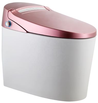 Transformeer uw kantoorgebouw badkamer met vloer gemonteerde intelligente automatische toilet en multi-functie luxe Bidet