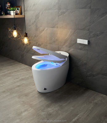 Office Building Luxe Lower Cistern Eco Smart Automatic Intelligent Toilet met instelbare temperatuur en technische kenmerken