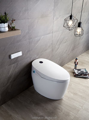 Office Building Luxe Lower Cistern Eco Smart Automatic Intelligent Toilet met instelbare temperatuur en technische kenmerken