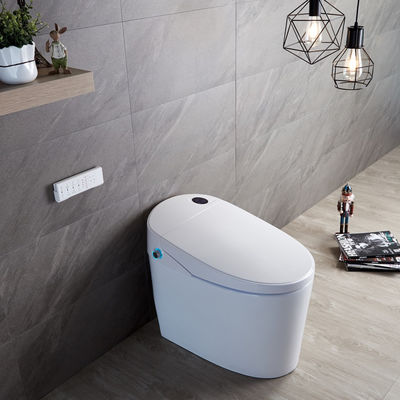 Ervaar ultieme comfort met modern ontworpen Eco Smart Automatic Intelligent Toilet Verwarmde stoel en Warm Air Dryer