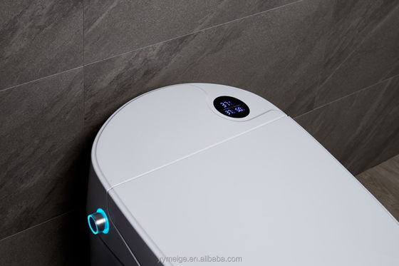 Ervaar ultieme comfort met modern ontworpen Eco Smart Automatic Intelligent Toilet Verwarmde stoel en Warm Air Dryer