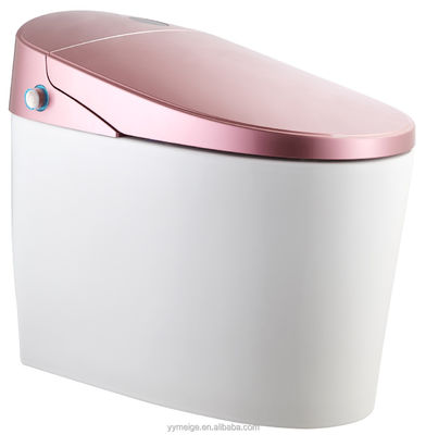 Ervaar ultieme comfort met modern ontworpen Eco Smart Automatic Intelligent Toilet Verwarmde stoel en Warm Air Dryer