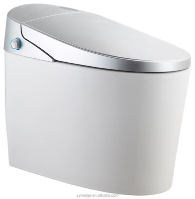 Ervaar ultieme comfort met modern ontworpen Eco Smart Automatic Intelligent Toilet Verwarmde stoel en Warm Air Dryer