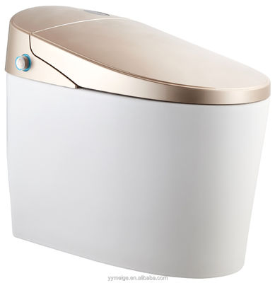 Ervaar ultieme comfort met modern ontworpen Eco Smart Automatic Intelligent Toilet Verwarmde stoel en Warm Air Dryer