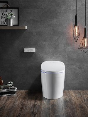 Eenpersoons toilet met automatisch spoelen Warm water en droog achterstand Eco Smart Automatisch Intelligent toilet All-in-One toilet OEM