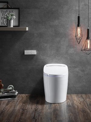 Geavanceerde functie Automatische deodoratie Toilet geïntegreerde multifunctie luxe met S-trap drainage en afstandsbediening