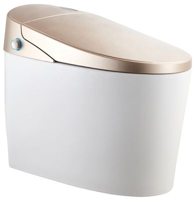 Upgrade naar een modern ontwerp Eco Smart Automatisch Intelligent Toilet 4.8L Sproeiing Flowrate Gemakkelijke installatie