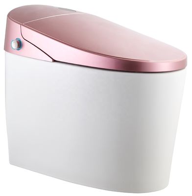 Upgrade naar een modern ontwerp Eco Smart Automatisch Intelligent Toilet 4.8L Sproeiing Flowrate Gemakkelijke installatie