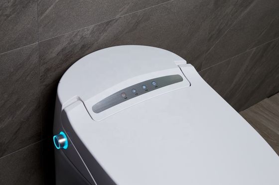 Transformeer uw kantoorgebouw badkamer met vloer gemonteerde intelligente automatische toilet en multi-functie luxe Bidet