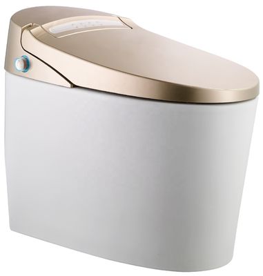 Transformeer uw kantoorgebouw badkamer met vloer gemonteerde intelligente automatische toilet en multi-functie luxe Bidet