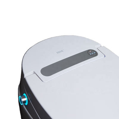 Een stukje structuur verwarmd Bidet toilet met geïntegreerde multi-functie luxe en intelligent automatisch ontwerp