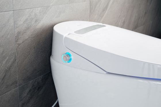 Een stukje structuur verwarmd Bidet toilet met geïntegreerde multi-functie luxe en intelligent automatisch ontwerp