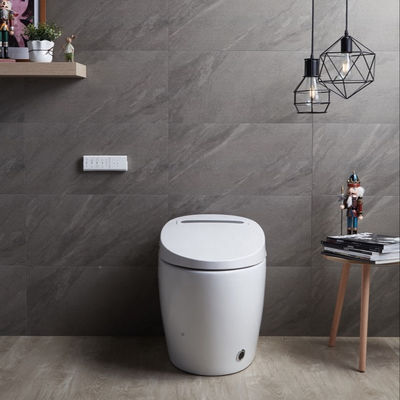 Een stukje structuur verwarmd Bidet toilet met geïntegreerde multi-functie luxe en intelligent automatisch ontwerp