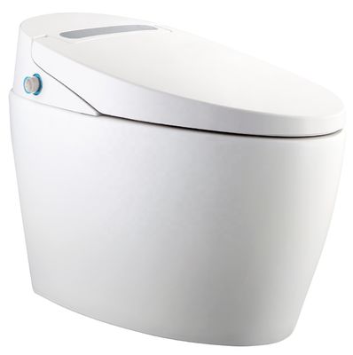 Een stukje structuur verwarmd Bidet toilet met geïntegreerde multi-functie luxe en intelligent automatisch ontwerp
