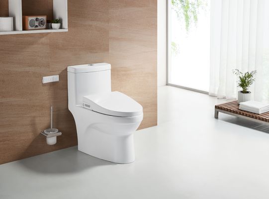 Intelligente toiletstoelbedekking met bufferbedekkingsplaat en inclusief afstandsbediening